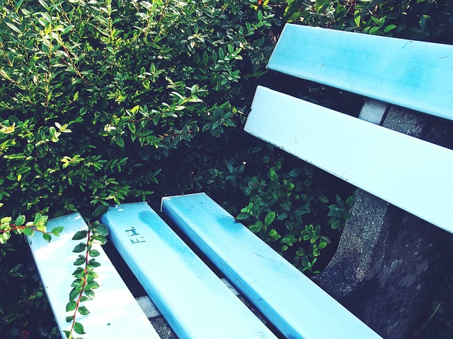 俱乐部的声 俱乐部的声