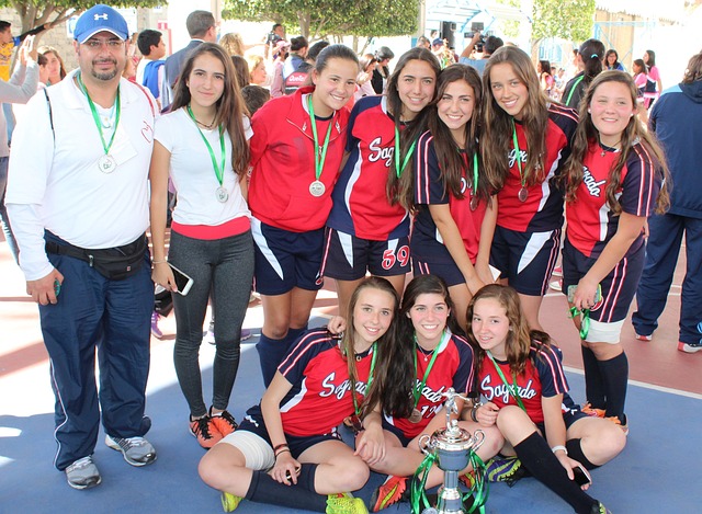 某球队的主 某球队的主