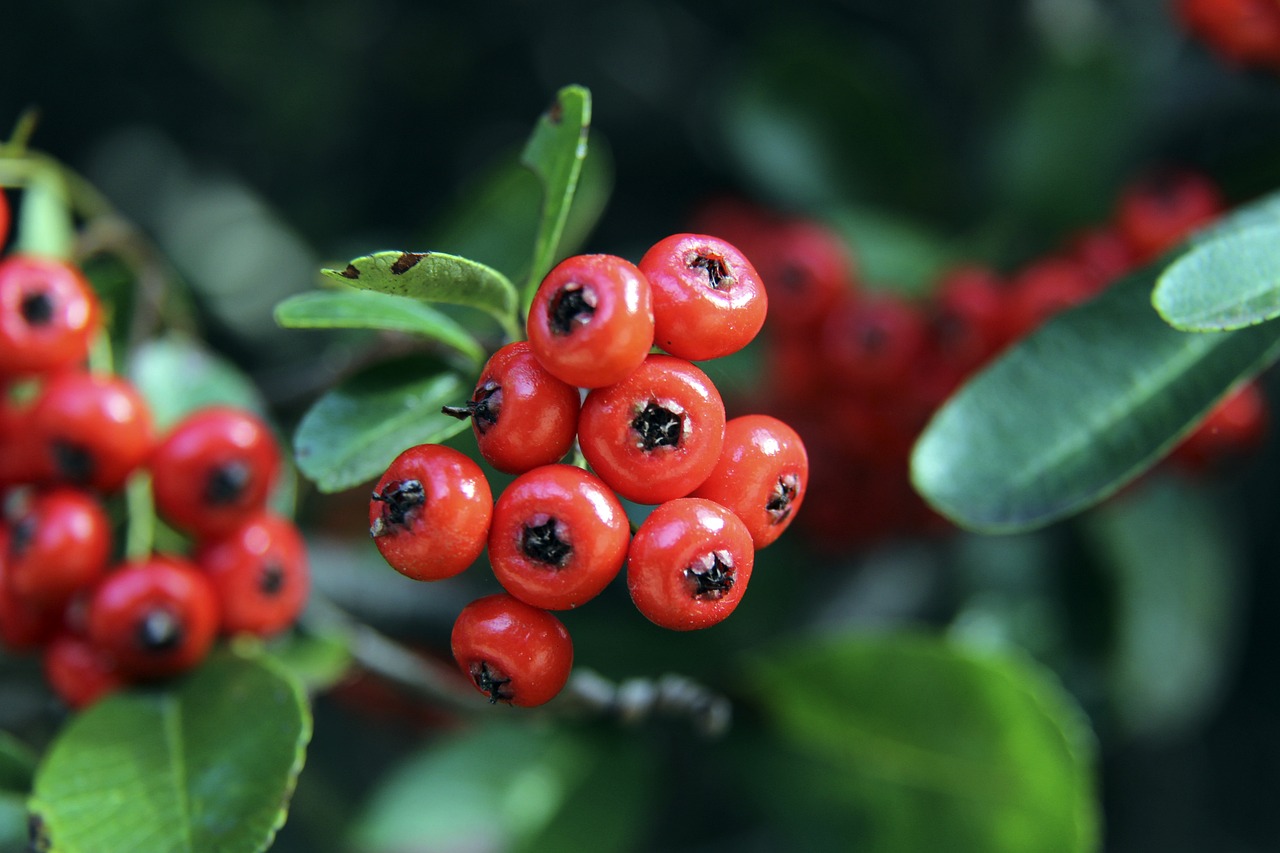 前后发挥不 前后发挥不